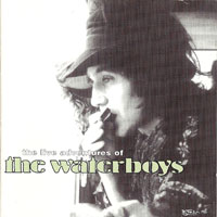 Waterboys - The Live Adventures Of The Waterboys