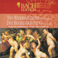 Johann Sebastian Bach - Bach Edition Vol. V: Vocal Works (CD 11) - Secular Cantantas