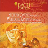 Johann Sebastian Bach - Bach Edition Vol. V: Vocal Works (CD 14) - Secular Cantantas
