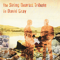 David Ari Leon - The String Quartet Tribute To David Gray