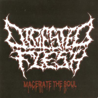 Digested Flesh - Macerate The Soul