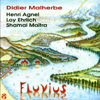 Didier Malherbe - Fluvius