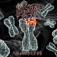 Necropsy (FRA) - Kariotype