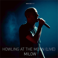Milow - Howling At The Moon (Live In Vienna)