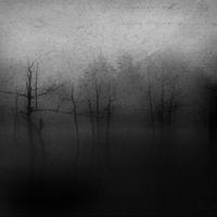 Dark Fount - A Sapless Leave Withering In The Night Fog