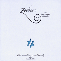 Medeski, Martin & Wood - Zaebos: Book of Angels, vol. 11 Masada Book Two