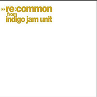 Indigo Jam Unit - Re:Common