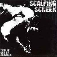 Scalping Screen - Twelve Out Of Chamber