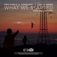 Don Diablo - What We Started (Extended Mix) [Single]