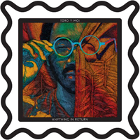 Toro y Moi - Anything In Return