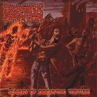 Disastrous - Slavery Of Disgusting Torture