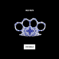 Steve Angello - Wild Youth