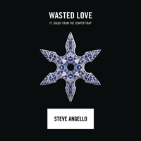 Steve Angello - Wasted Love