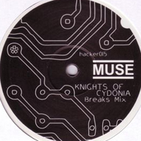 Muse - Knights of Cydonia (Breaks Mix) (Unofficial Release, 12'' Vinyl, UK)