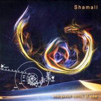 Shamall - Ambiguous Points of View (CD 2)