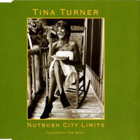 Tina Turner - Nutbush City Limits (The 90's Version) (Single)