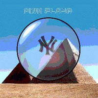 Pink Floyd - 1994.06.10 - Yankee Stadium, New York, New York, USA (CD 2)