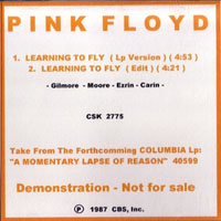Pink Floyd - Learning To Fly (CDS Promo)