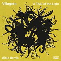 Villagers - A Trick of the Light (Bibio Remix) (Single)