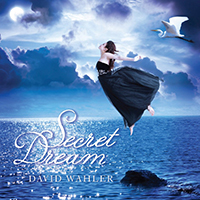 David Wahler - Secret Dream