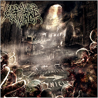 Cadaver Mutilator - Nechronicles