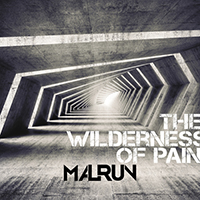 Malrun - The Wilderness of Pain (Single)