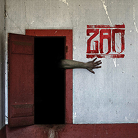 ZAO - The Crimson Corridor