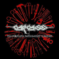 Carcass - The Complete Pathologist's Report (CD 3)