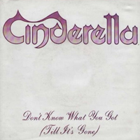 Cinderella - Don't Know What You Got (Till It's Gone) (Single)