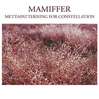 Mamiffer - Mettapatterning for Constellation