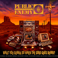 Public Enemy - What You Gonna Do When The Grid Goes Down?