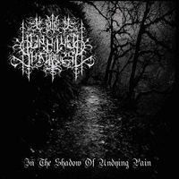 Cult Of Unholy Shadows - In The Shadow Of Undying Pain