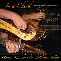 Elliott Sharp - In a Chord (feat. Henry Kaiser)