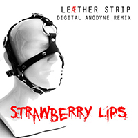 Leaether Strip - Strawberry Lips (Digital Anodyne Remix Single)