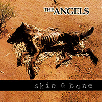 Angels - Skin & Bone