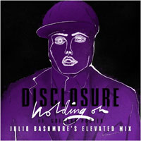 Julio Bashmore - Holding On (Julio Bashmore's Elevated Mix) (Single)