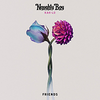 Naughty Boy - Friends 