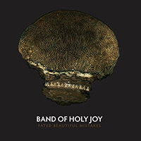 Band of Holy Joy - Fated Beautiful Mistakes