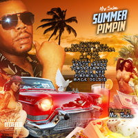 Mr. Sche - Summer Pimpin