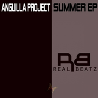 Anguilla Project - Summer
