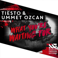 Ozcan, Ummet - What You're Waiting For [Promo Single]