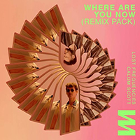 Lost Frequencies - Where Are You Now (Remix Pack, feat. Calum Scott, Kungs) (Single)