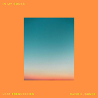 Lost Frequencies - In My Bones 