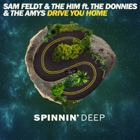 Feldt, Sam - Drive You Home (Single)