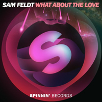 Feldt, Sam - What About The Love (Single)