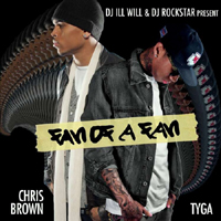 Chris Brown (USA, VA) - Fan Of A Fan (Mixtape)