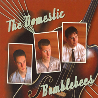 Domestic Bumblebees - The Domestic Bumblebees