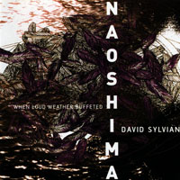 David Sylvian - When Loud Weather Buffeted Naoshima