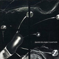 David Sylvian - Camphor (CD 1)