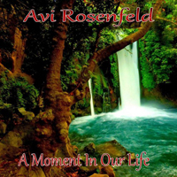 Avi Rosenfeld Band - A Moment In Our Life